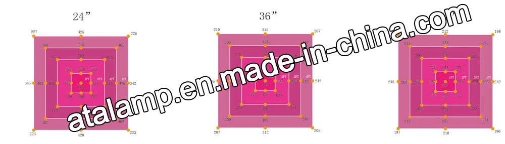 12V/110V/120V/100-277V SMD 5050/3030 50W/75W/80W/100W/150W/300W/400W/450W/500W/600W/650W/700W/800W/900W/1000W/1200W/1500W Greenhouse Hydroponic LED Strip Grow L