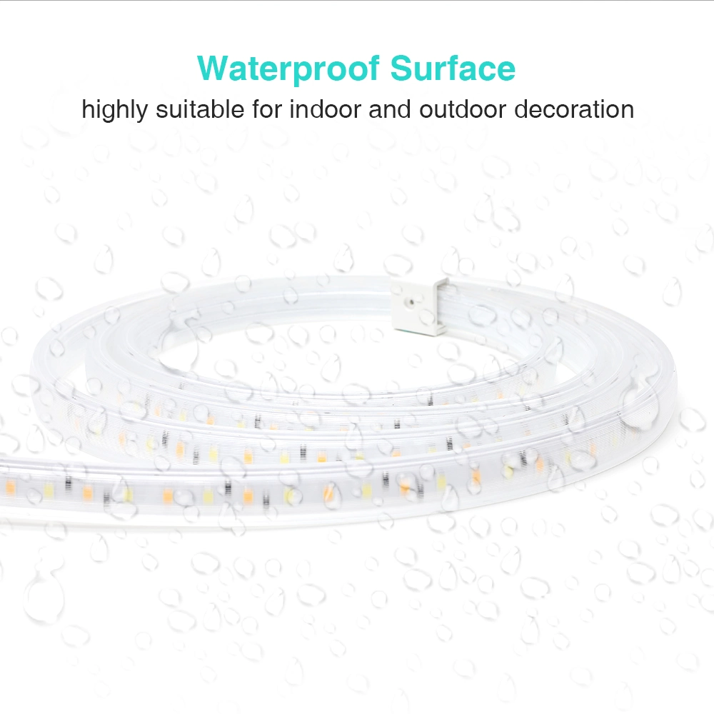 Aluminum PVC High Brightness High Voltage Warm White Cold White SMD2835 220V LED Strip Light