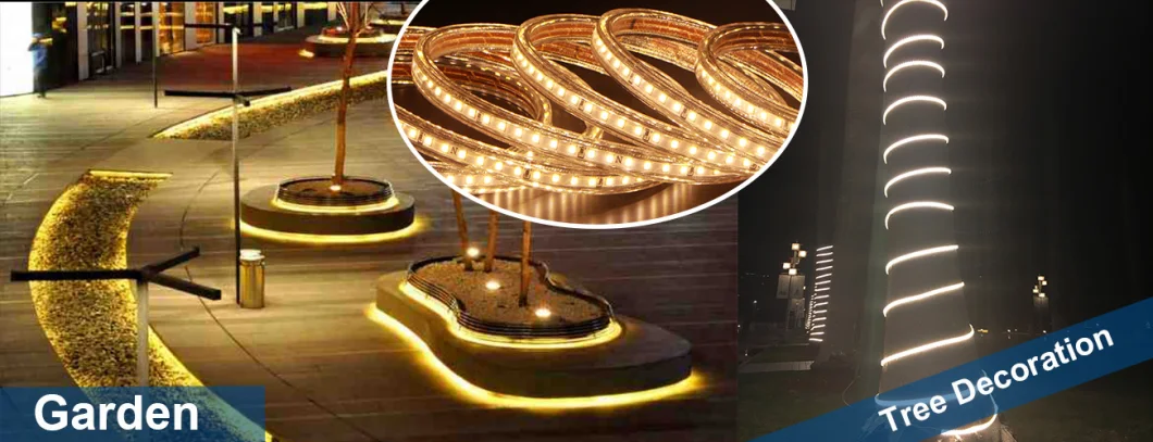 AC120V AC230V 2835 6000K CCT Outdoor Home Tree Decoration Lighting Waterproof 50m Ce ETL IP65 LED Strip Lights