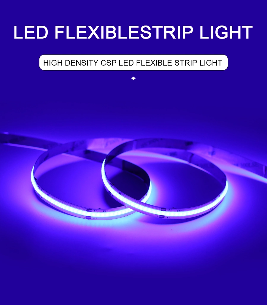 Outdoor Decoration High Quality 24V 840LED/M Waterproof IP67 RGBW COB Csp Smart LED Light Strip