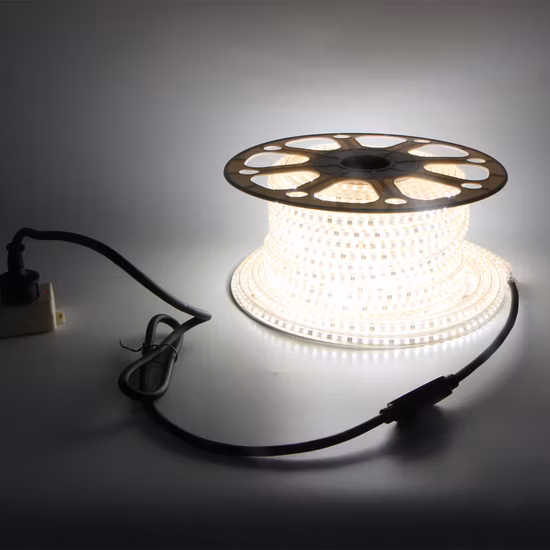 AC110V AC220V SMD2835 옥외 AC230V 훈장 방수 Ce IP65 LED 지구 빛